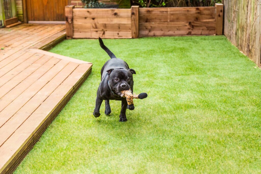 Artificial grass installation Blanchardstown