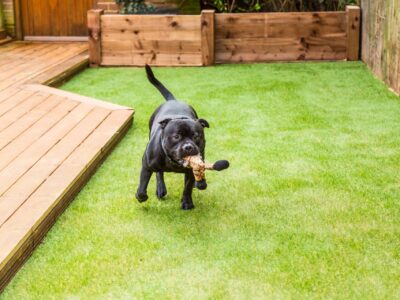 Landscaping Ideas Dun Laoghaire